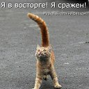 ���� ������ ))), �����-��������� - ��������� 27 ���� 2017 � ������ ���� ����������