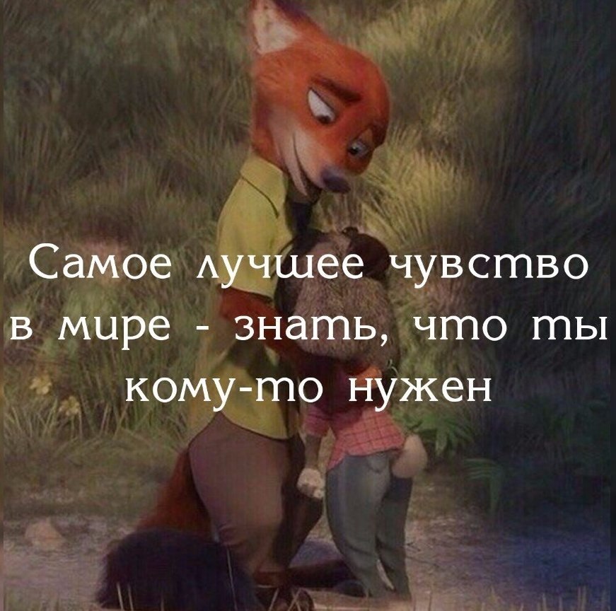   - 17  2017  11:56