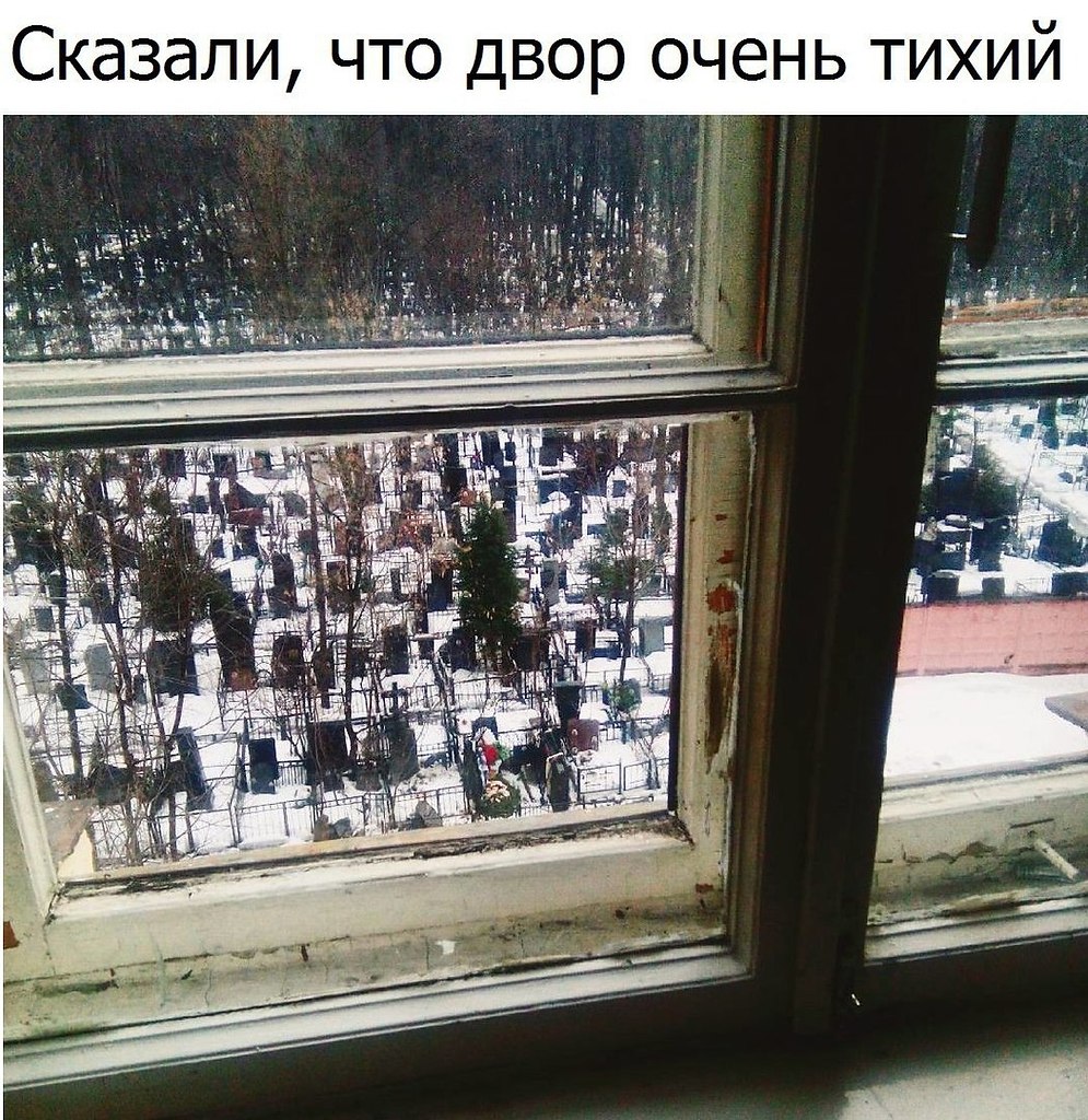  - 1  2017  03:31