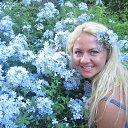 ���� ����, ������, 40 ��� - ��������� 12 �������� 2017 � ������ ���� ����������