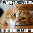 ����� �� ������� ���� ����������