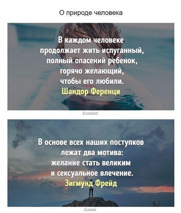 Весь опыт психологов мира в 20 цитатах. Прочтите и вдумайтесь в эти слова. - 10