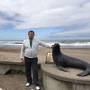  Roman, , 49  -  2  2017   