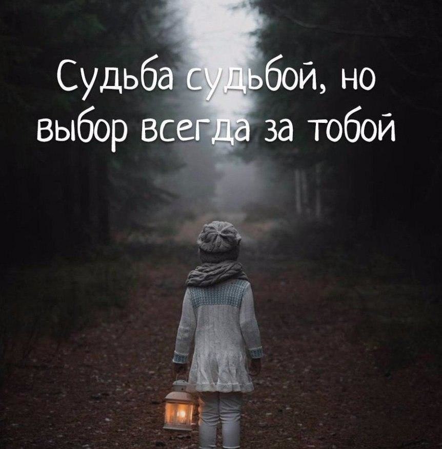  - 7  2017  04:43
