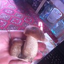 ���� ����, ����������� - ��������� 22 ���� 2017 � ������ �������