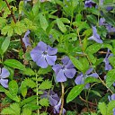  , , 60  -  23  2017    - 2017