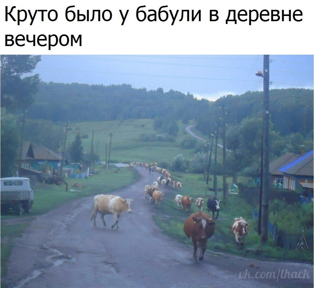������� - 9 ������ 2017 � 03:43
