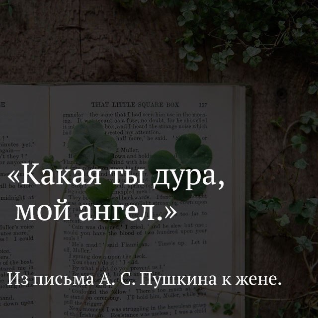   - 13  2017  15:03