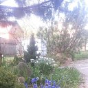 ���� ��������, �������������, 67 ��� - ��������� 24 ��� 2017 � ������ ���� ����������