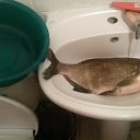 ���� ������, ����� ������, 58 ��� - ��������� 30 ���� 2017 � ������ ���������� ���� 2017�