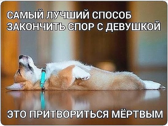 Comedy Club - 22  2017  07:33