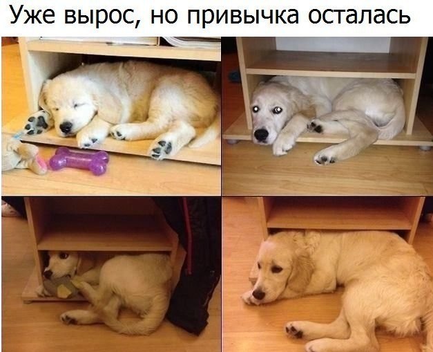  - 1  2017  03:31