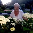 ���� ���������, ������ - ��������� 25 ���� 2017 � ������ ���� ����������