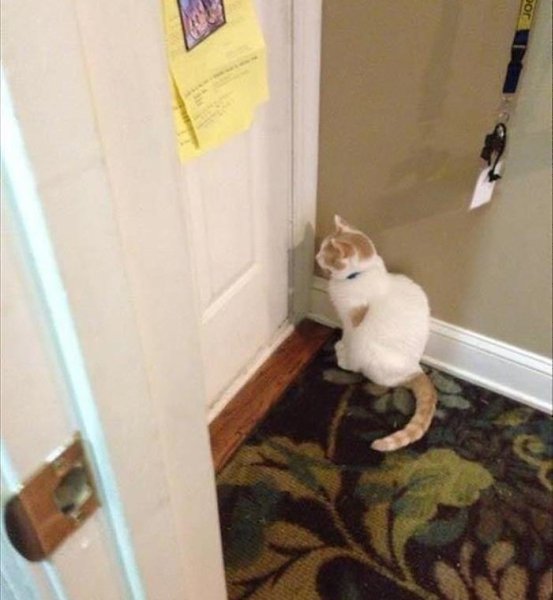     ,     
