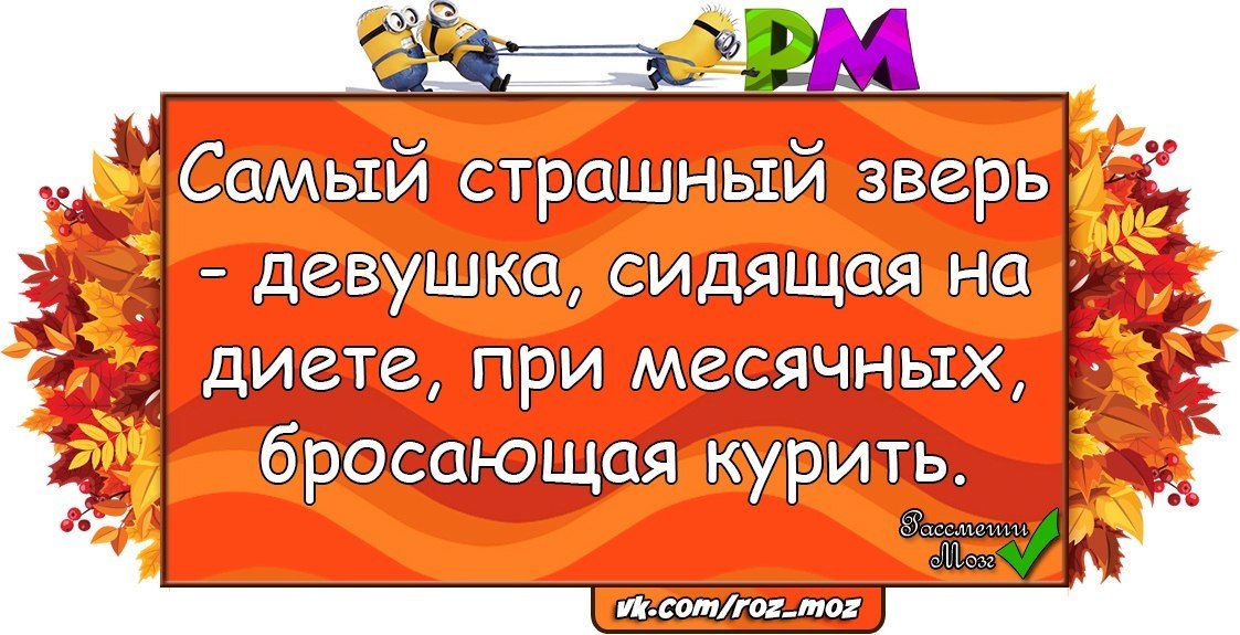  - 6  2017  01:32