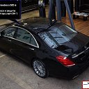  , , 36  -  31  2017    .  .