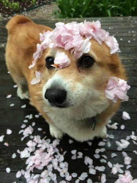  ! - 2