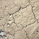 ���� �����, ��������, 53 ���� - ��������� 31 ������� 2017 � ������ ���� ����������