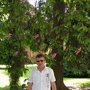  Paul, , 61  -  14  2017    