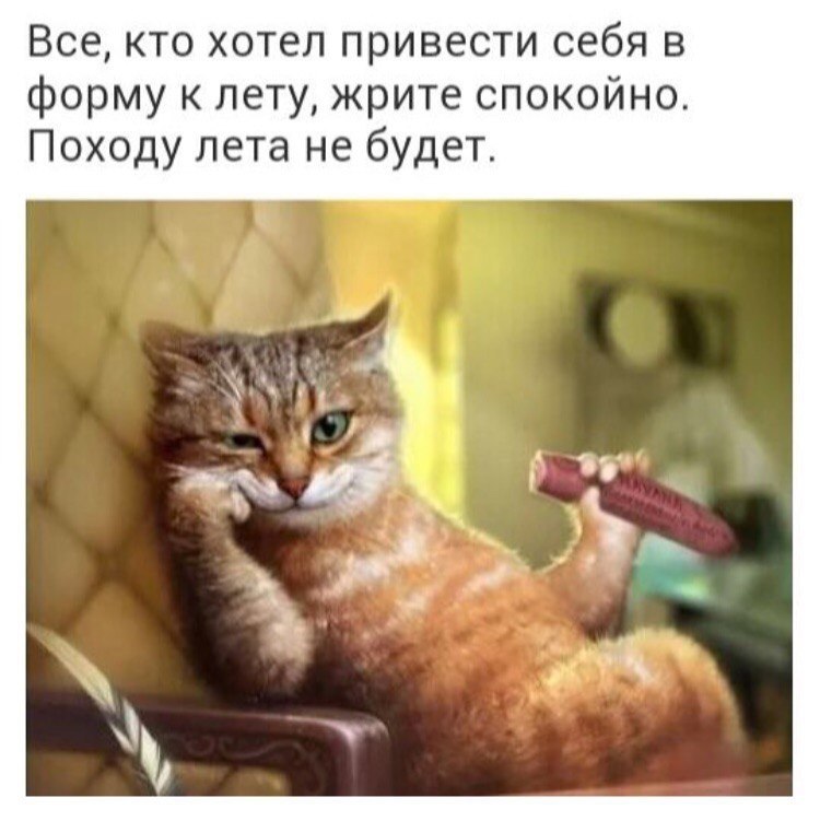  -   - 9  2017  09:08