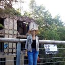  2017.  ,   .       .    .     ,       .  ...   