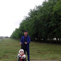 � 12� �����, �������, 55 ���