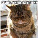 ���� �������, �����������, 51 ��� - ��������� 21 ������� 2017 � ������ ���� ����������