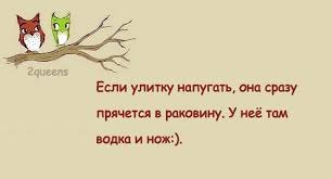   - 18  2017  15:13