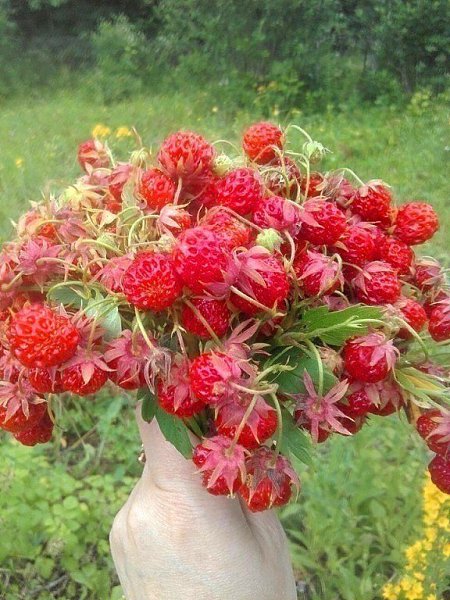 ������ ����........ - 4