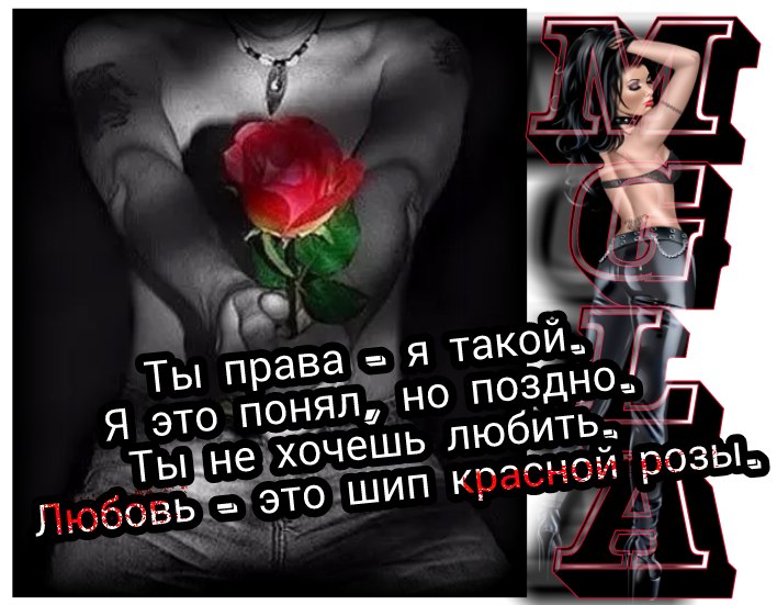   - 17  2017  20:53