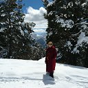 ������ �� ������� ���������