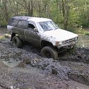 ���� ������, �����������, 49 ��� - ��������� 21 ���� 2017 � ������ ���� ����������