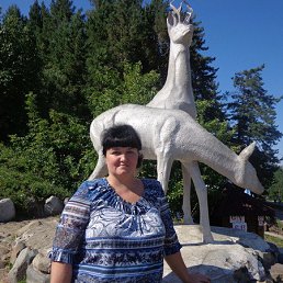 �����., �������, 51 ���