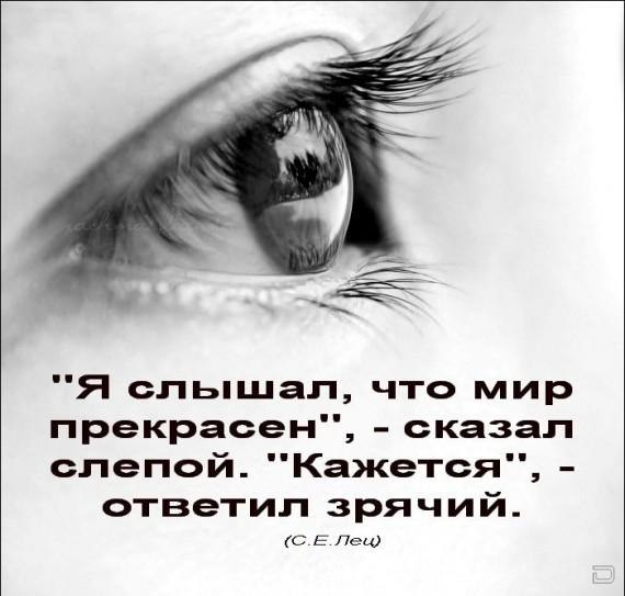   - 28  2017  15:04