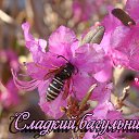 ���� �����, �����������-��-�����, 63 ���� - ��������� 1 ��� 2017 � ������ ������ ��������