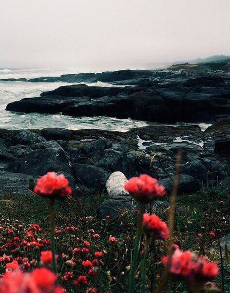 ,,  ,     :     ,   ,  ...