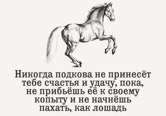     - 13  2017  16:07