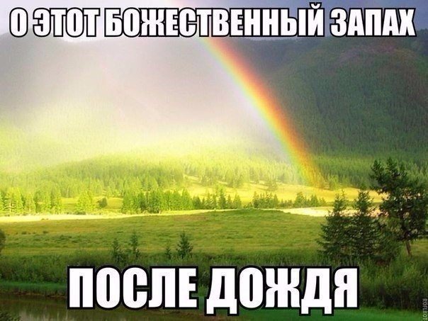   - 7  2017  05:35