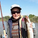 ���� �������, ������, 49 ��� - ��������� 2 ������� 2017 � ������ ���� ����������