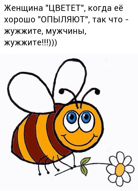      - 3  2017  06:49