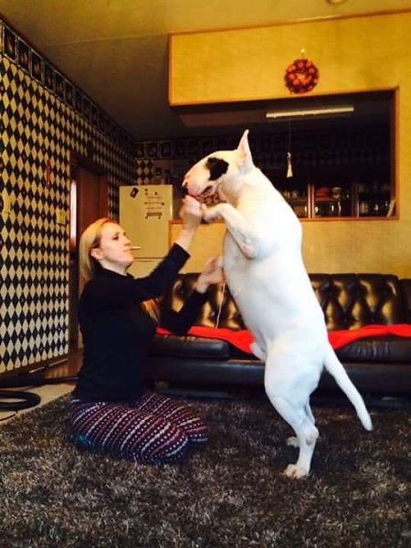 Big Max. 40 кг. - 2