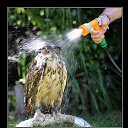 ���� �����, �����-���������, 54 ���� - ��������� 30 ������ 2017 � ������ ���� ����������