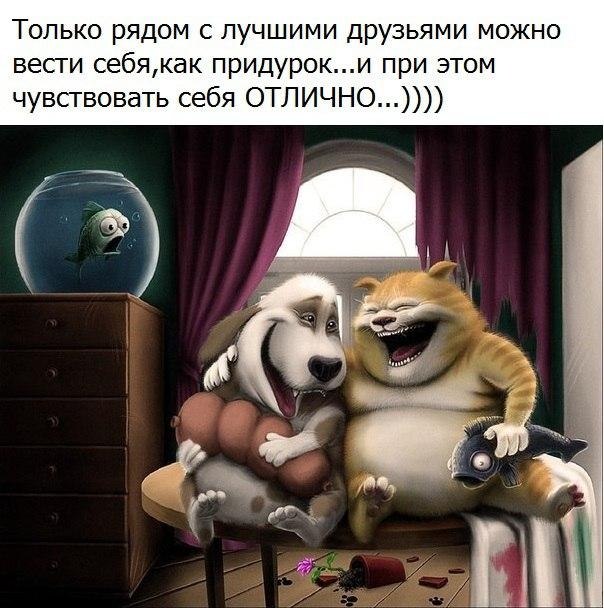   - 9  2017  16:49