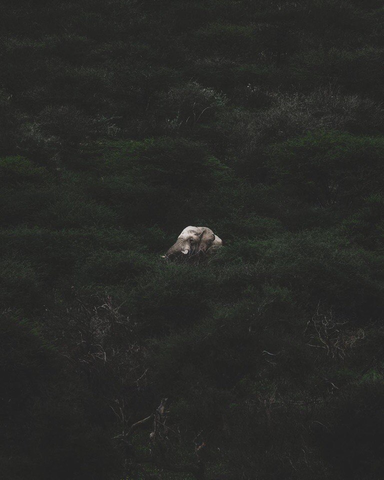Africa - 8