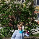 1 ���� 2017�. �� ������� ���� ����������