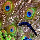 ���� Yuriy, ������, 71 ��� - ��������� 4 �������� 2017 � ������ �������