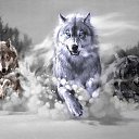 �������� ������� ���� �� ������� ���� ����������