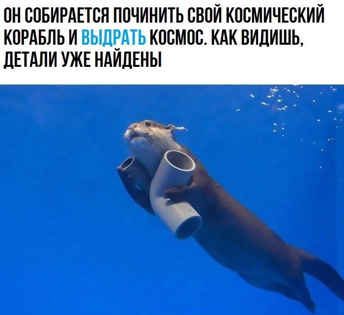    - 11  2017  18:03
