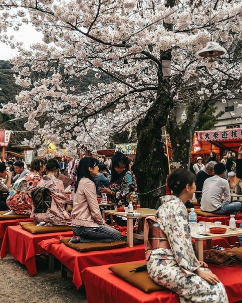 Kyoto, Japan - 5