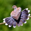 ���� Alehandro, ����������, 53 ���� - ��������� 23 ������ 2017 � ������ ������ ��������